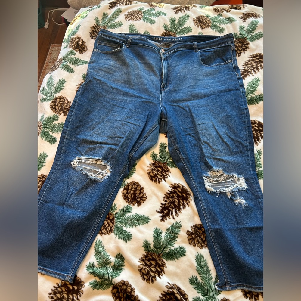American Eagle Distressed Stretch Mom Jeans (Short)